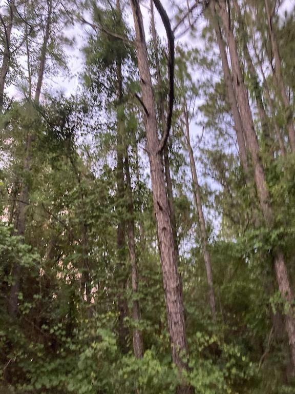 Sweet Retreat In The Springs Not Waterfront Holiday home Homosassa